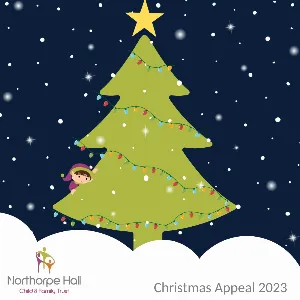 Image of a decorated christmas tree for the 2023 Christmas Appeal