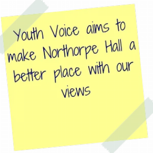Stickynote with words: Youth voice aims to make Northorpe a better place with our views