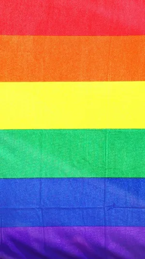 The Rainbow Freedom Flag